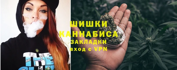 соль ск Кукмор