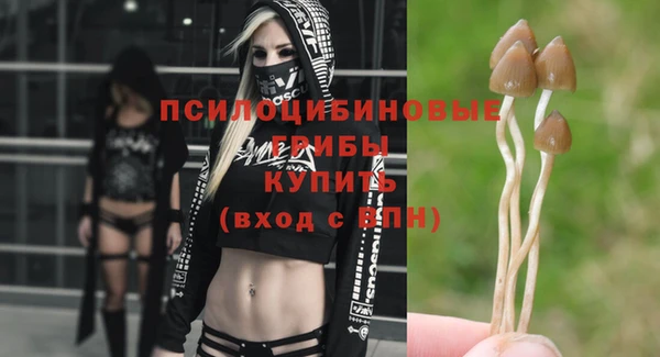 спиды Ладушкин
