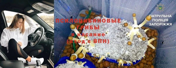 спиды Ладушкин