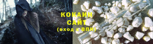 соль ск Кукмор