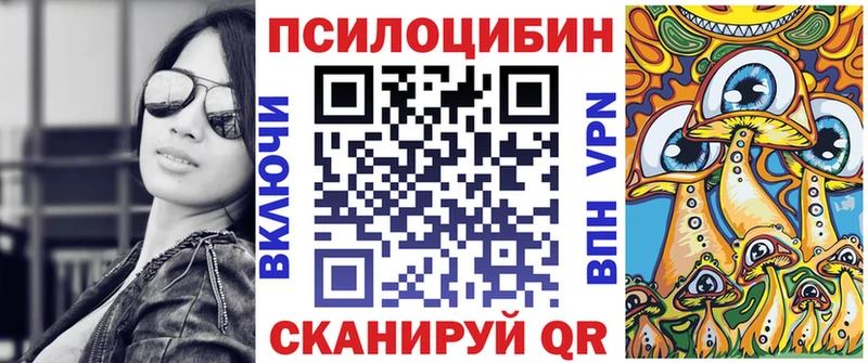 закладки  OMG вход  Псилоцибиновые грибы MAGIC MUSHROOMS  Медвежьегорск 